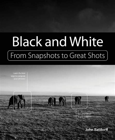 black and white from snapshots to great shots PDF