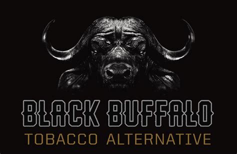 black buffalo inc.