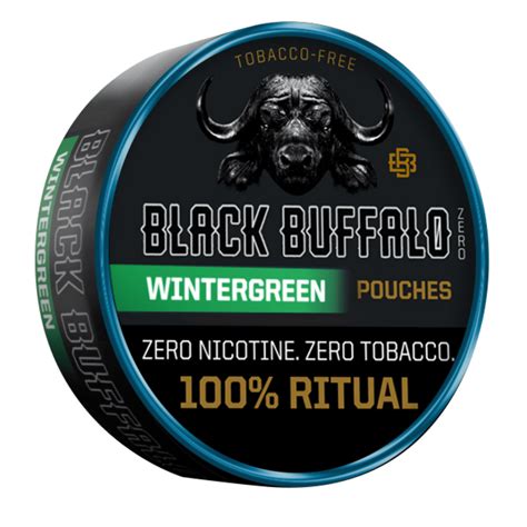 black buffalo wintergreen