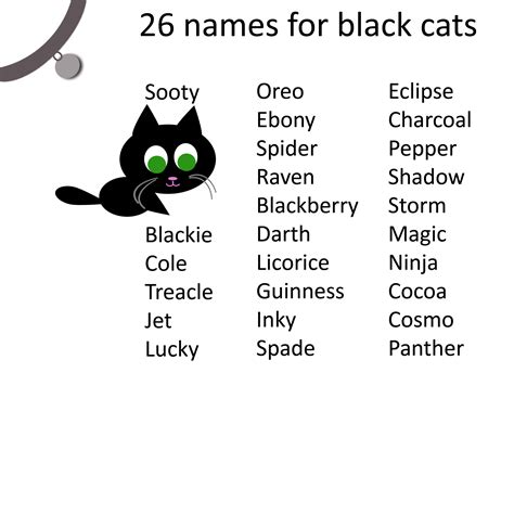 black cat names girl