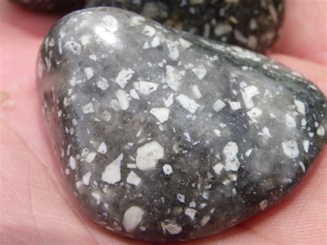 black stone with white flecks