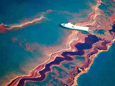 black tide the devastating impact of the gulf oil spill Reader