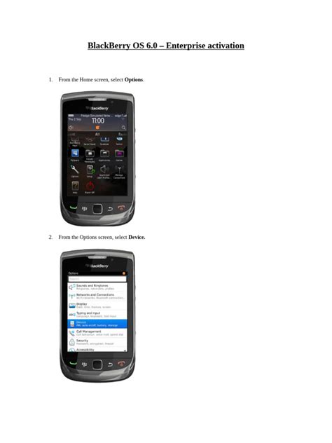 blackberry bold activation guide Doc