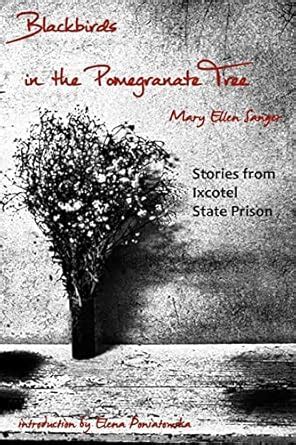 blackbirds in the pomegranate tree stories from ixcotel state prison Doc