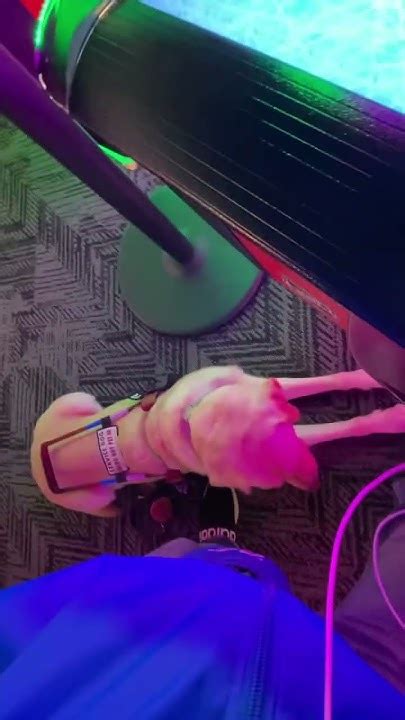 blackhawks yorktown mall Reader