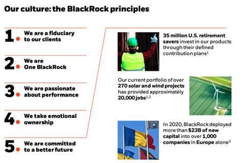 blackrock principles