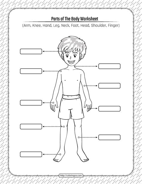 blank body parts diagram pdf Doc