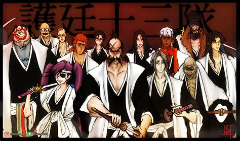 bleach gotei 13