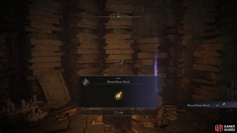 blessed bone shard