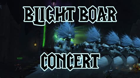 blight boar concert