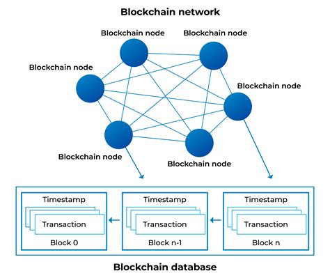 blockchain network nodes