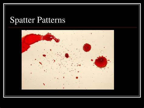 blood spatter pattern chart Ebook Epub