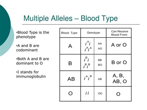 Blood Type Allele Chart