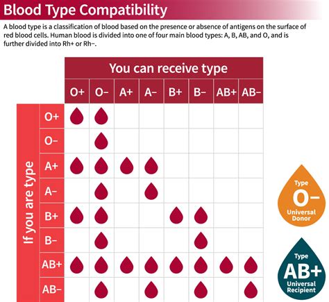 Blood Types Compatibility Chart