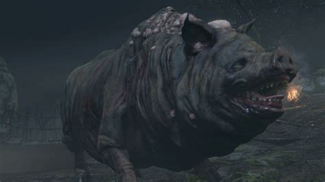 bloodborne pig