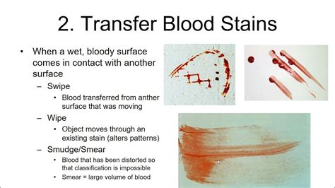 bloodstain labels