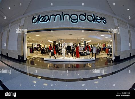 bloomingdales roosevelt field Epub