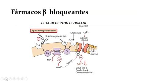 bloqueadores beta-adrenérgicos