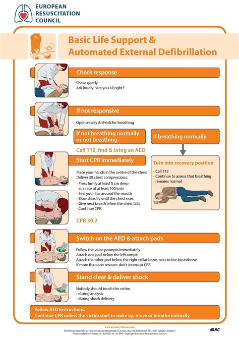 bls cpr guidelines 2013 Epub