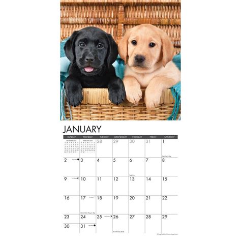 blue dog 2003 engagement calendar Doc