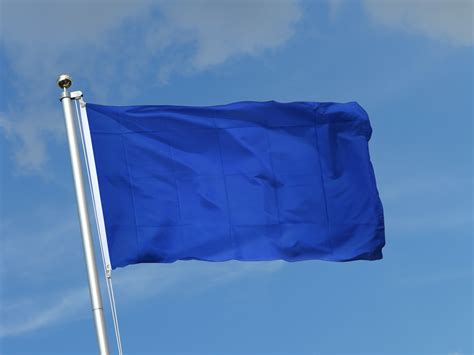 blue flags