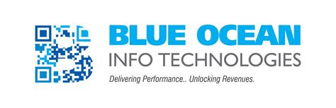 blue ocean systems infotech pvt ltd