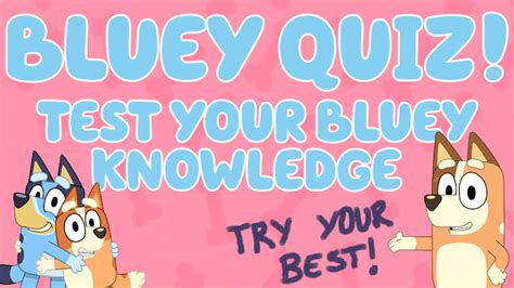 bluey quiz