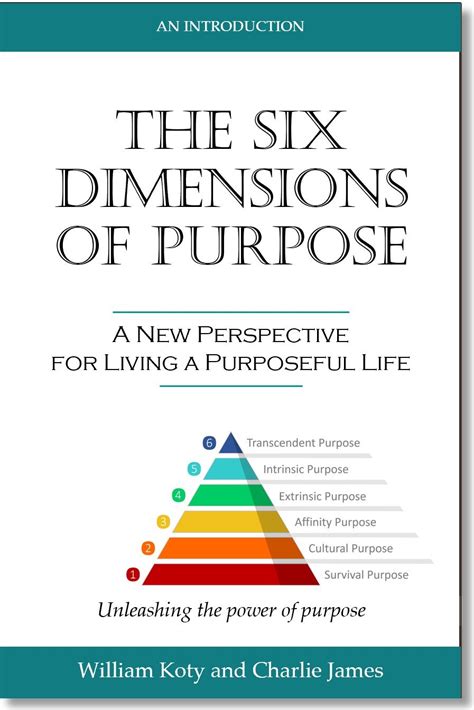 bmsix: The Ultimate Guide to the Six Dimensions of Self-Management