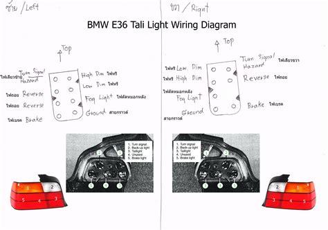 bmw tail light diagram Kindle Editon