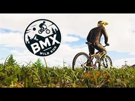 bmx wild run trophy guide