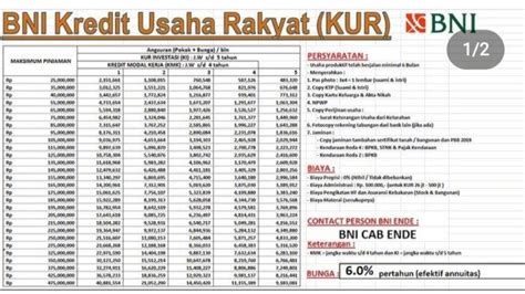 bnbi  - 2023 In-Depth Analysis and Predictions