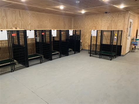 boarding kennel near me