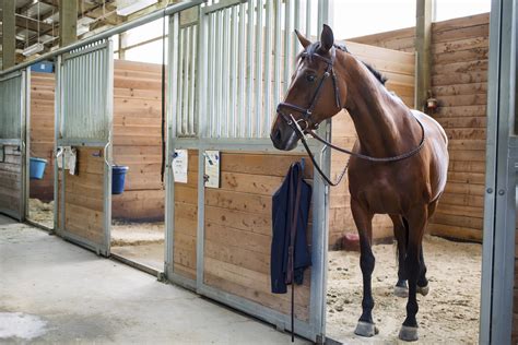 boarding stables for horses