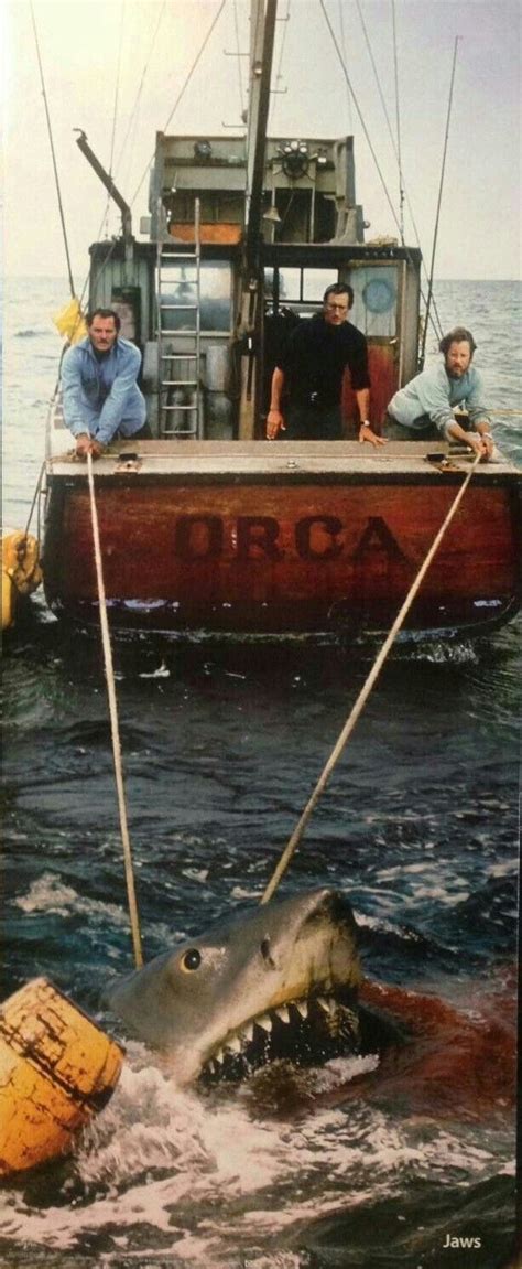 boat name in jaws