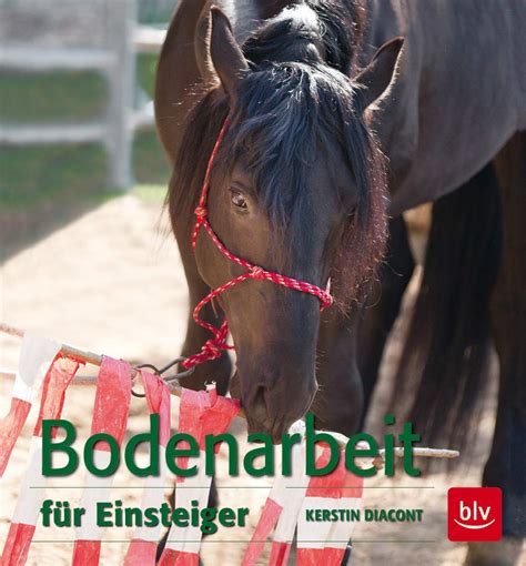 bodenarbeit f r einsteiger kerstin diacont Doc