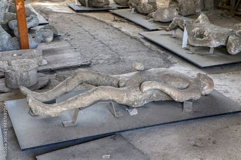 bodies from the ash life and death in ancient pompeii Doc