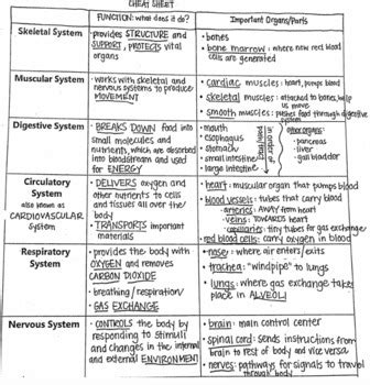 body organ system study guide Doc