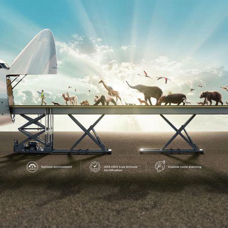 boeing live animal loading guide Doc