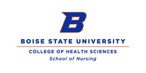 boise state university nursing program