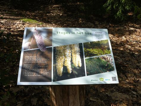 bomen van berg en bosch natuurpad Epub