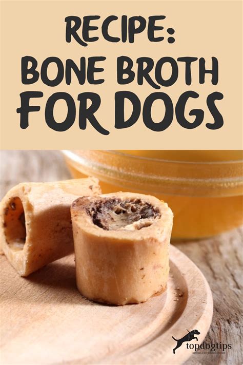 bone broth for dogs