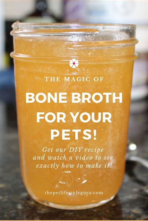 bone broth for dogs recipe