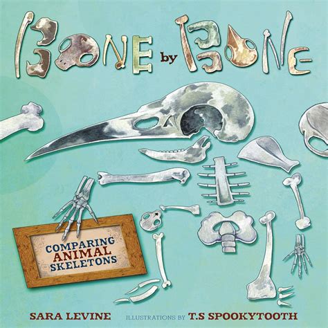 bone by bone comparing animal skeletons Doc