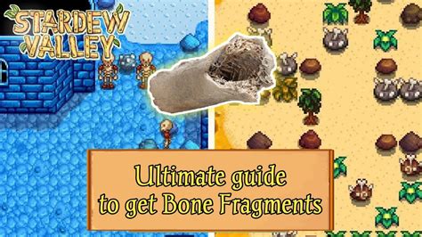 bone fragments stardew