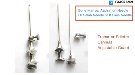 bone marrow aspiration needle parts