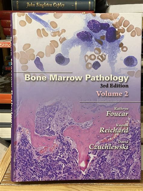 bone marrow pathology third edition 2 vol set PDF