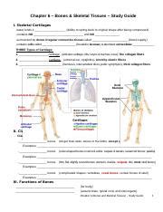 bones and skeletal tissues study guide answers PDF