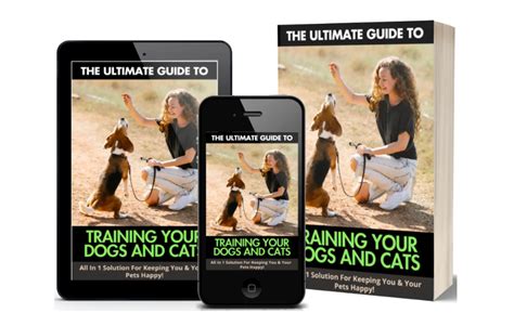 bonitabb14: The Ultimate Guide to Better Dog Training Results