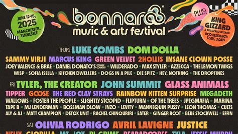 bonnaroo what which this that the other PDF