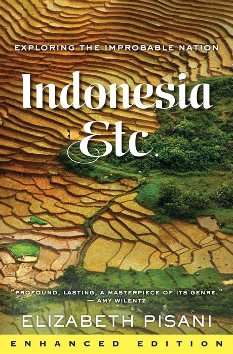book and pdf indonesia etc exploring improbable nation Reader